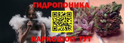 сатива Ачхой-Мартан