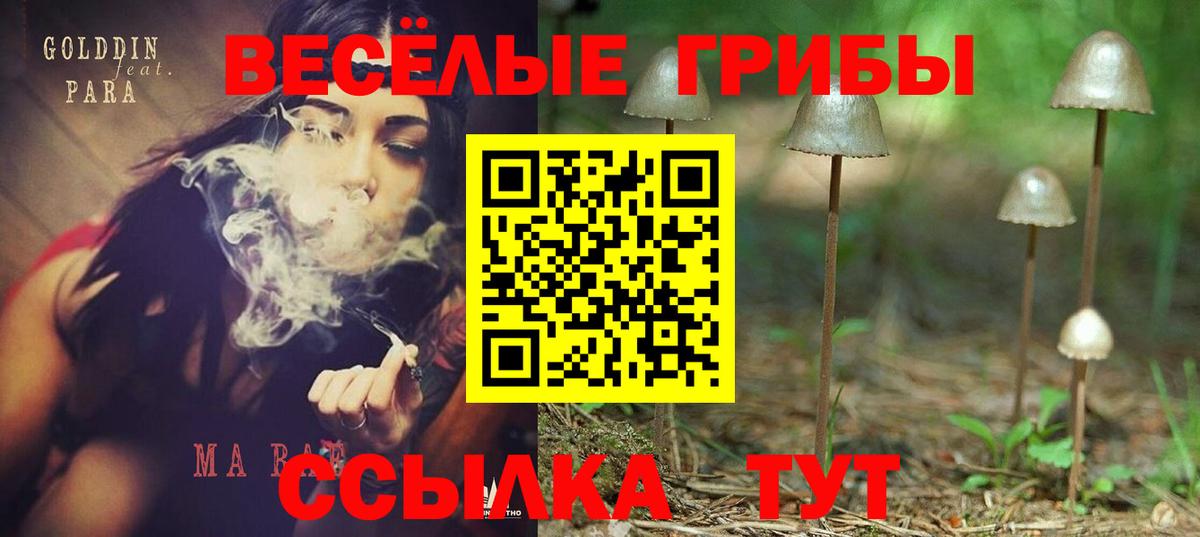Галлюциногенные грибы GOLDEN TEACHER  Псилоцибиновые грибы Cubensis  Вход с VPN  Артёмовский 