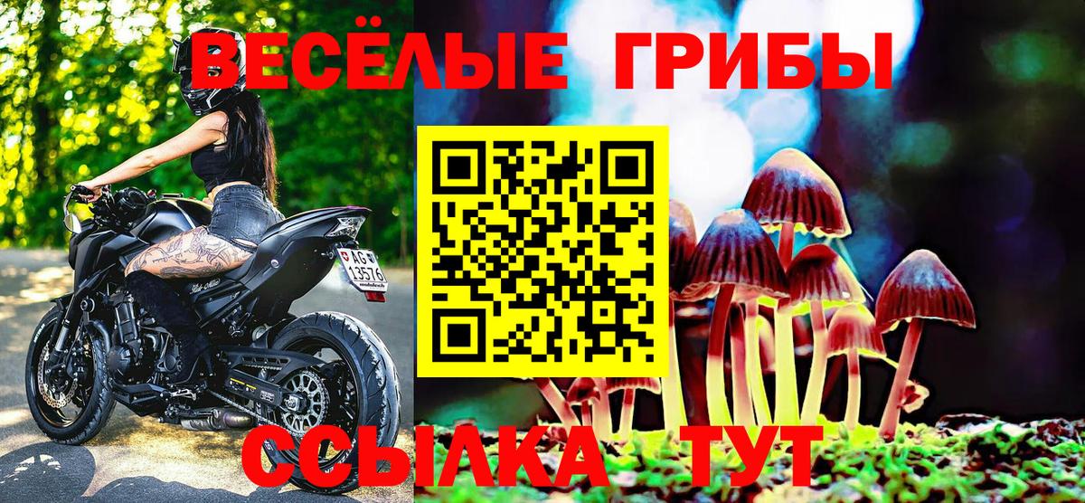 Галлюциногенные грибы MAGIC MUSHROOMS Артёмовский